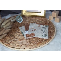 Set de 3 cotons lavable Collection Gabin