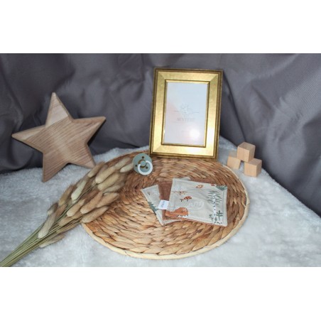 Set de 3 cotons lavable Collection Gabin