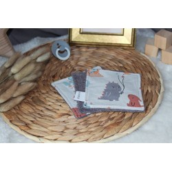Set de 3 cotons lavable Collection Ruben