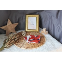 Set de 3 cotons lavable Collection Jules